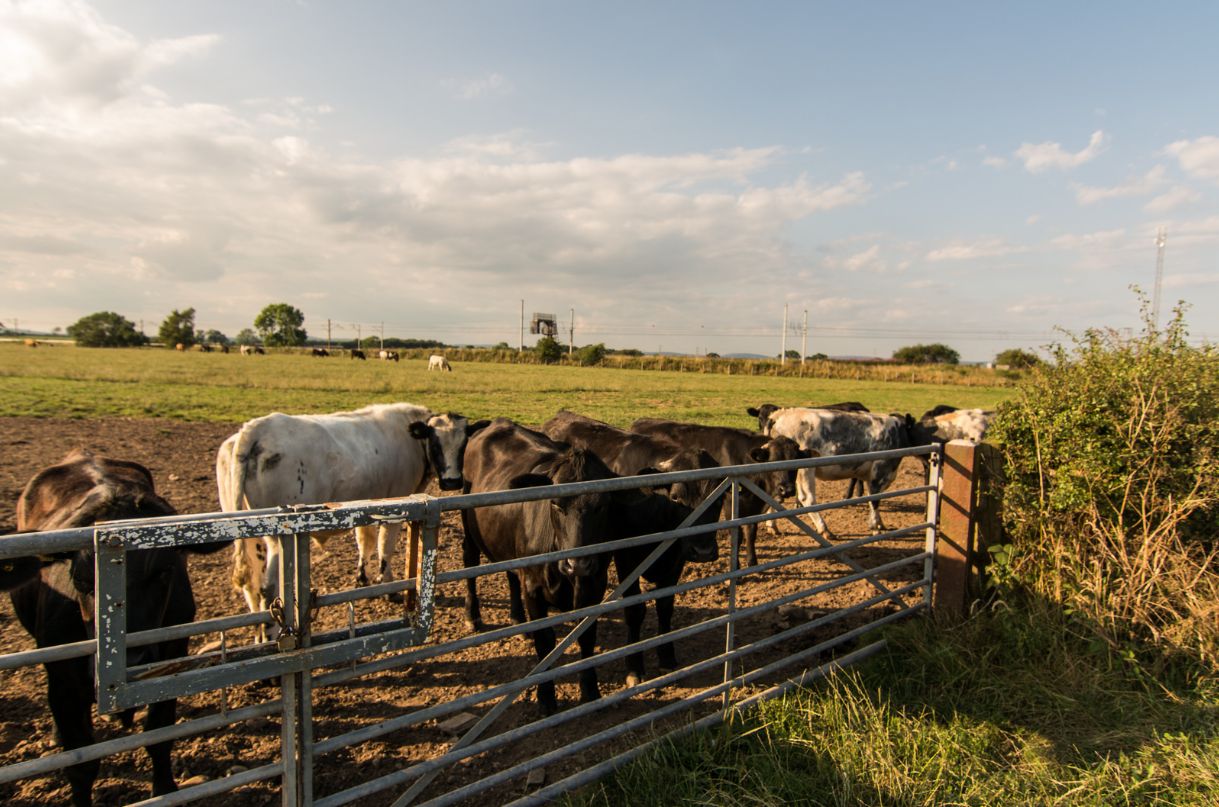 Solution de ferme sans personnel