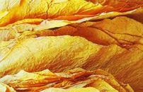 浪潮烟草行业解决方案V6-浪潮